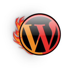 visual blaze custom wordpress blogs